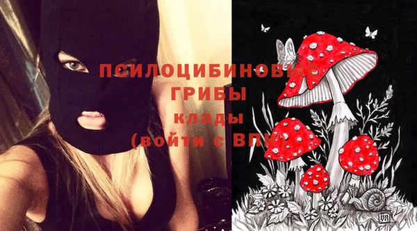 гашик Бугульма