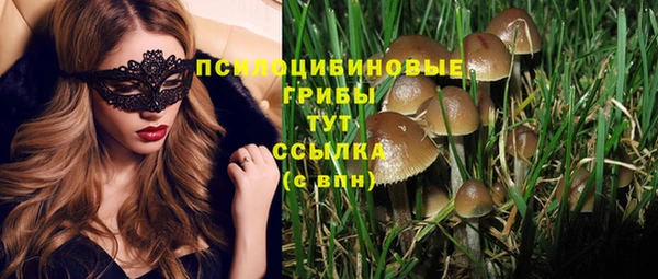 гашик Бугульма
