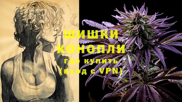 герыч Бронницы
